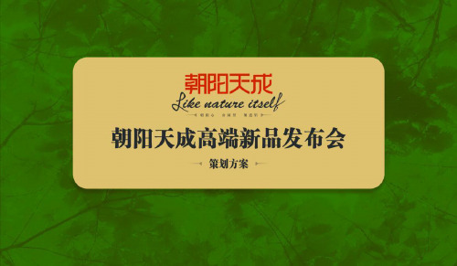 某公司新品科技发布会活动策划方案(PPT 44页)