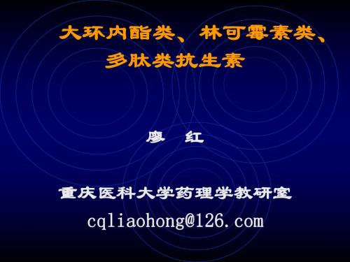 大环内酯、林可霉素、多肽