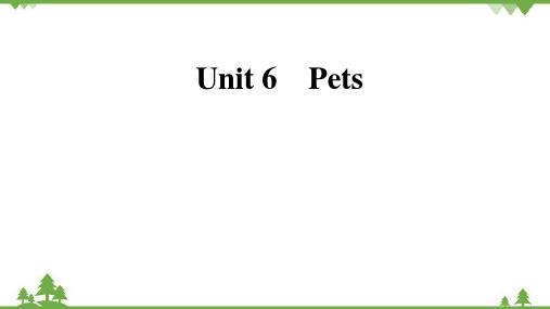 牛津深圳版八年级下册Module 3 Animals Unit 6 Pets 复习课件