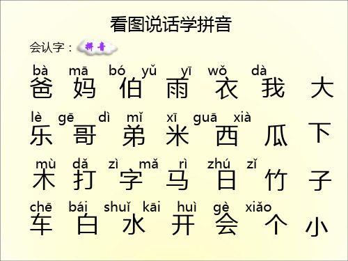 幼儿园《生字拼音积累学习》课件