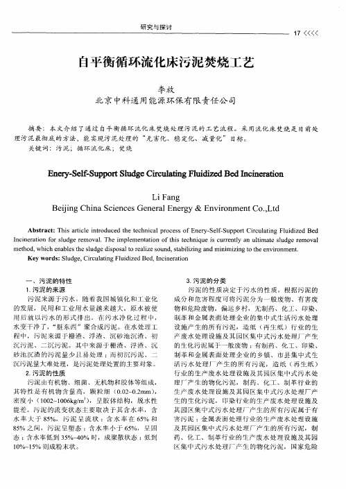 自平衡循环流化床污泥焚烧工艺