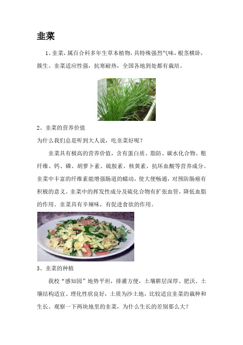 韭菜