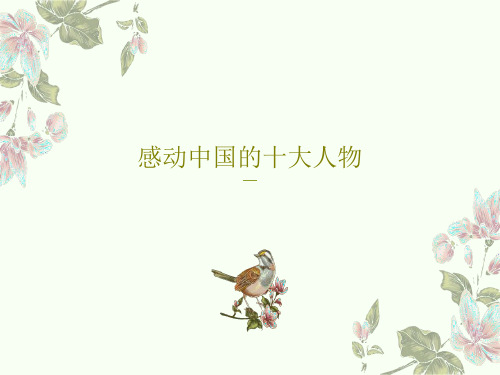 感动中国的十大人物33页PPT