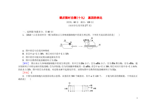 高考生物一轮复习第四章基因的表达课后限时自测(含解析)新人教版必修2