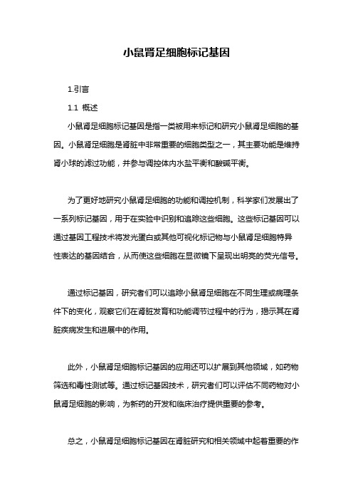 小鼠肾足细胞标记基因