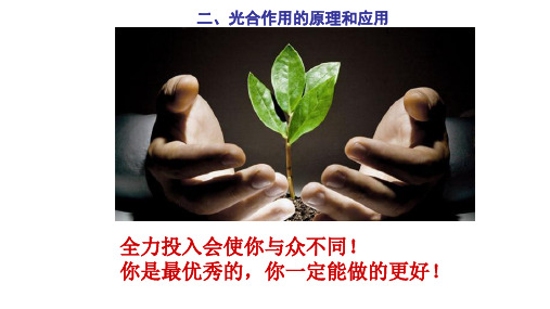 高中生物必修1《第4章细胞的能量代谢第2节能量的获得三光合作用与农业》189北师大PPT课件