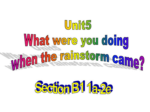 人教版八下Unit5 What were you doing when the rainstorm came scetionB 1a-2e