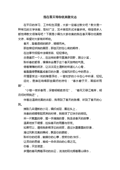 我在春天等你优美散文诗