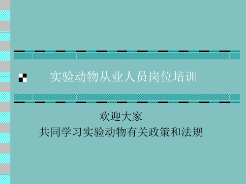 实验动物培训幻灯片精品文档33页