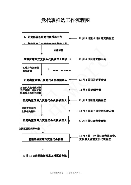 精品word→党代表推选工作流程图