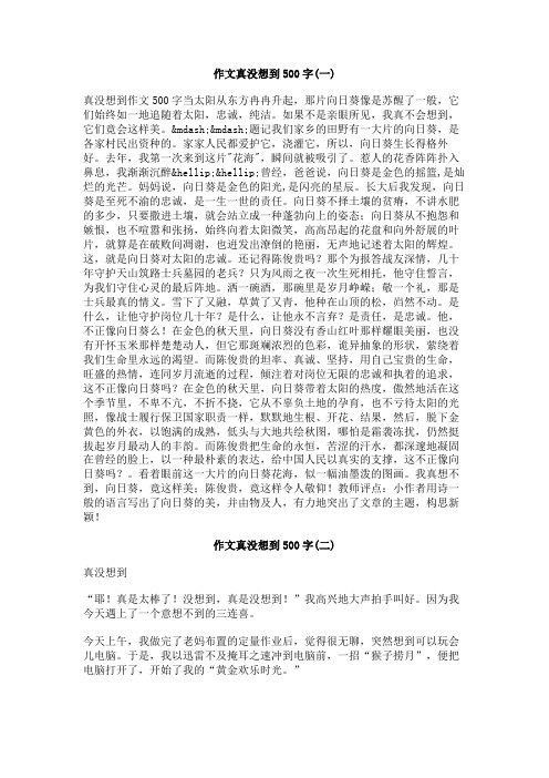 作文真没想到500字