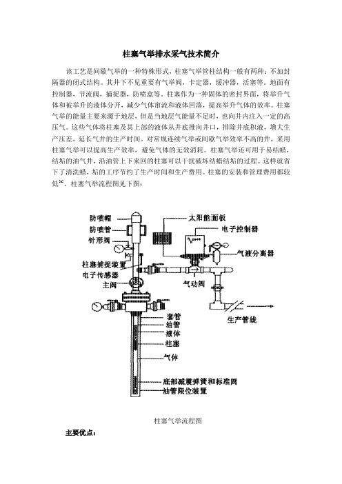 柱塞气举排水采气技术简介