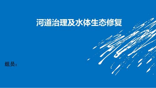 河道治理水体生态修复PPT幻灯片课件