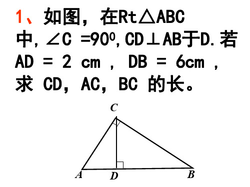 中考数学复习射影定理[人教版]-P