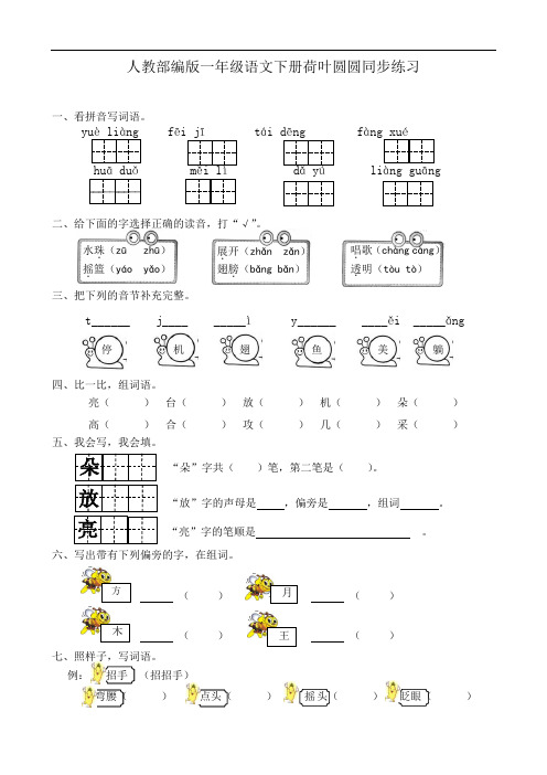 人教部编版一年级语文下册荷叶圆圆同步练习含答案