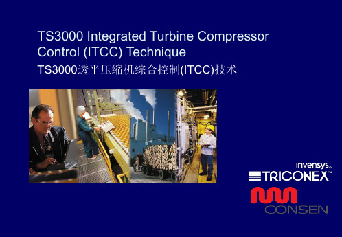 TS3000机组综合控制技术(ITCC)及特点