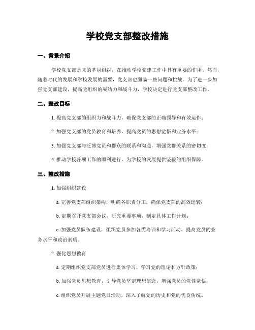 学校党支部整改措施