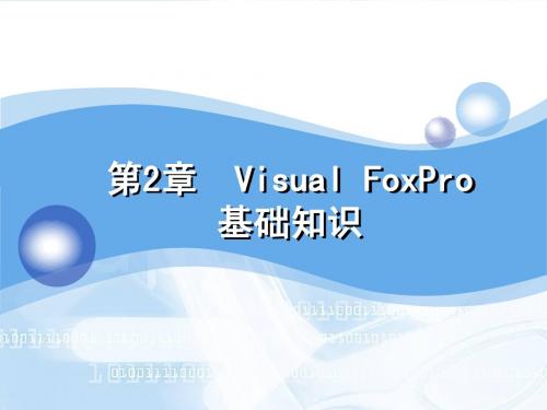 Visual FoxPro 6.0 基础知识