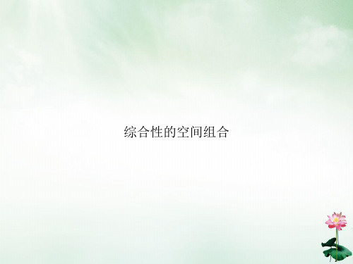 综合性的空间组合PPT