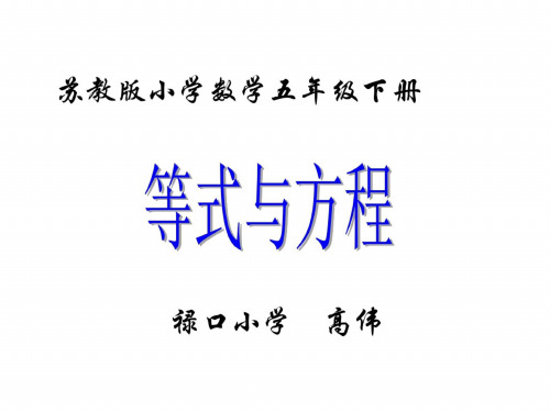 五年级数学等式与方程 (2)