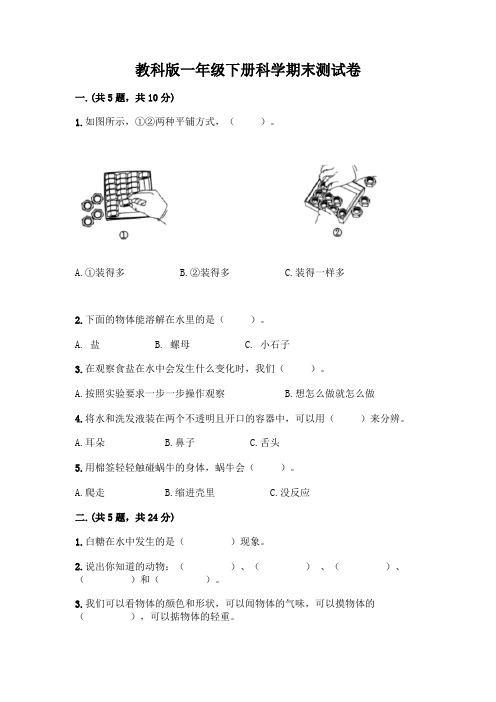 教科版一年级下册科学期末测试卷带答案(完整版)