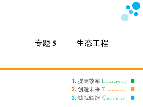 人教版选修三 专题5 5.2 生态工程的实例和发展前景 课件(60张)