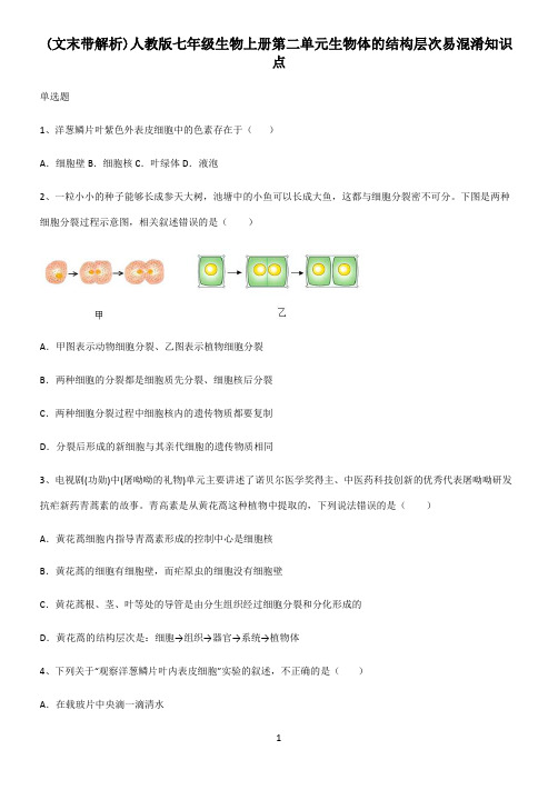 (文末带解析)人教版七年级生物上册第二单元生物体的结构层次易混淆知识点