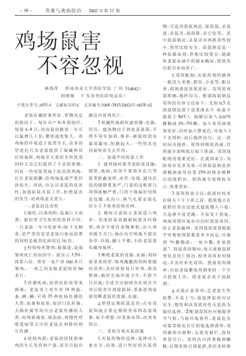 鸡场鼠害不容忽视