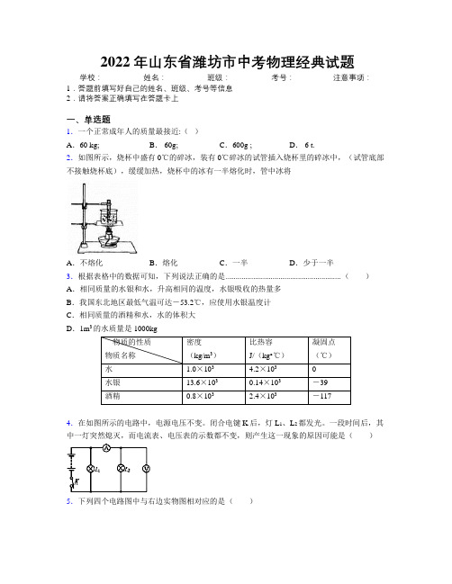 2022年山东省潍坊市中考物理经典试题及解析