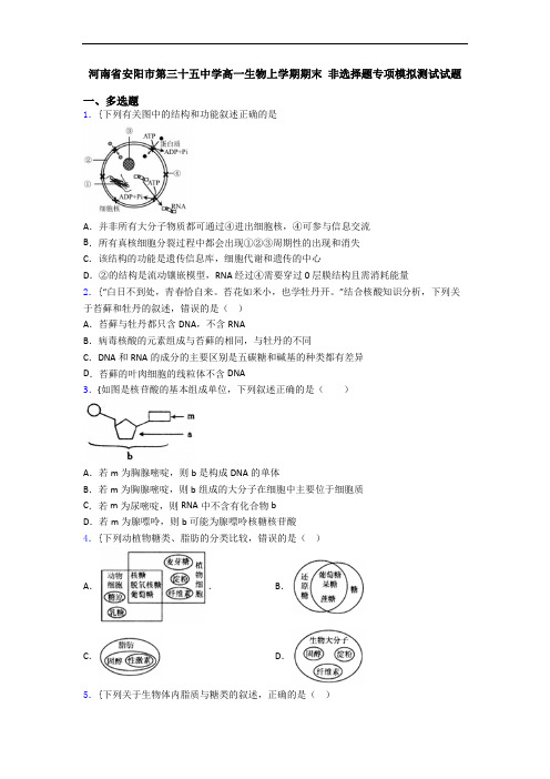 河南省安阳市第三十五中学高一生物上学期期末 非选择题专项模拟测试试题