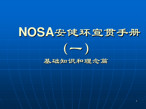 NOSA_安健环宣传手册一资料