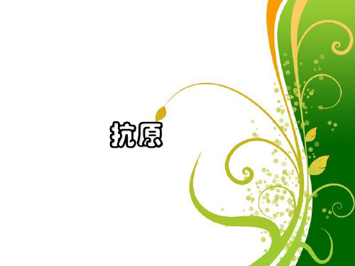 抗原PPT课件