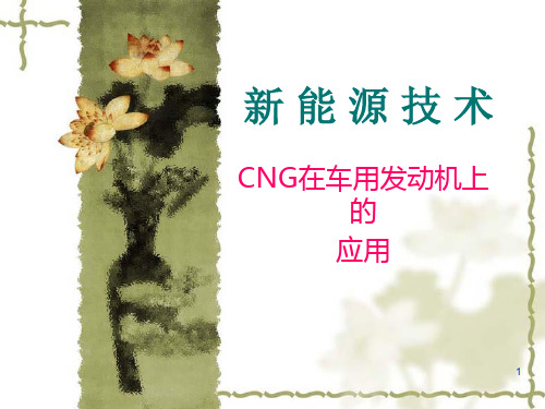 CNGPPT课件