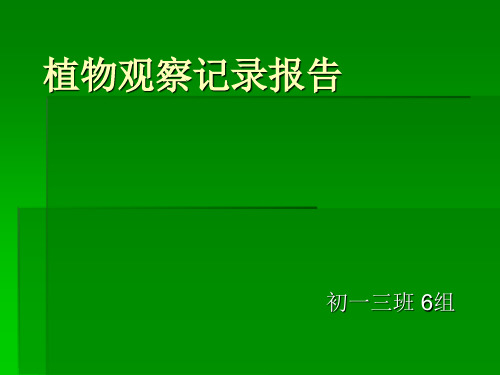 植物观察记录报告ppt课件