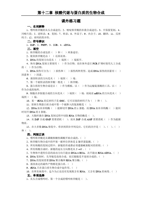 生物化学第12章 核酸代谢与蛋白质的生物合成