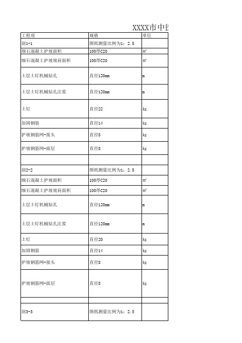 审计 Excel 工作表工程量计算式(XXXX市中医院基坑支护计算书)