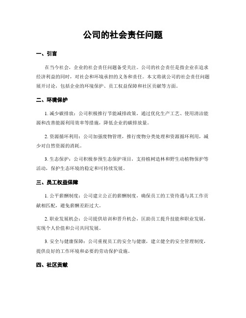 公司的社会责任问题