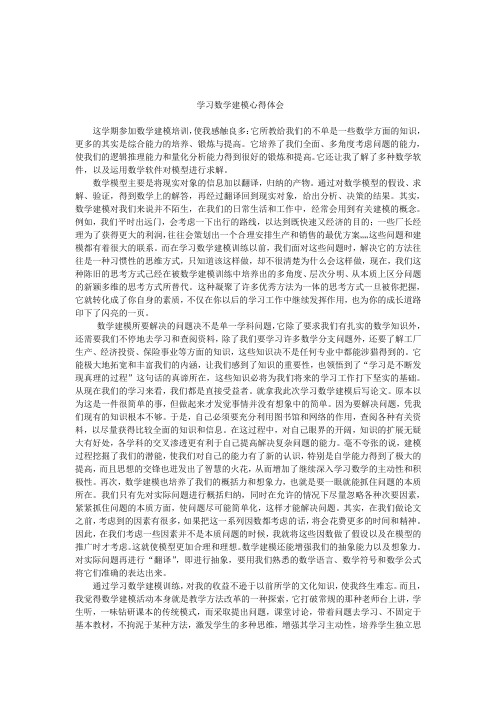 学习数学建模心得体会教学总结