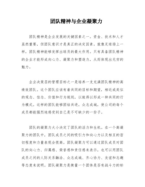 团队精神与企业凝聚力