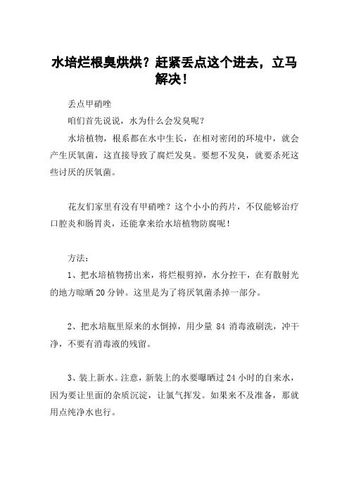 水培烂根臭烘烘？赶紧丢点这个进去,立马解决!