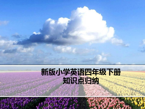 新版PEP小学英语四年级下册精美复习课件