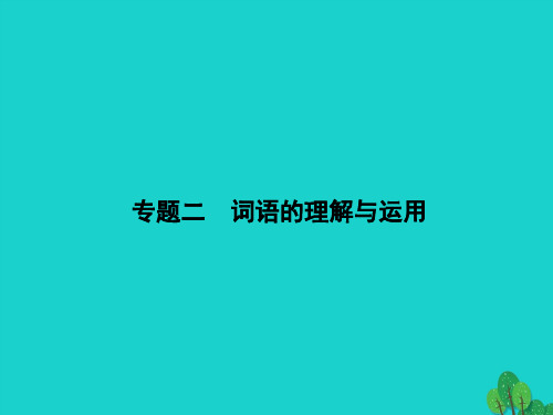九年级语文下册期末专题复习二词语的理解与运用课件(新版)新人教版