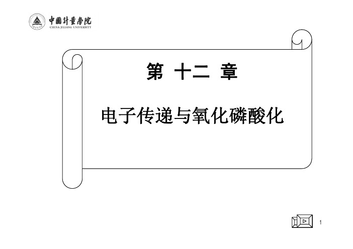 (武大张楚富版生化原理)第十一章.电子传递与氧化磷酸化