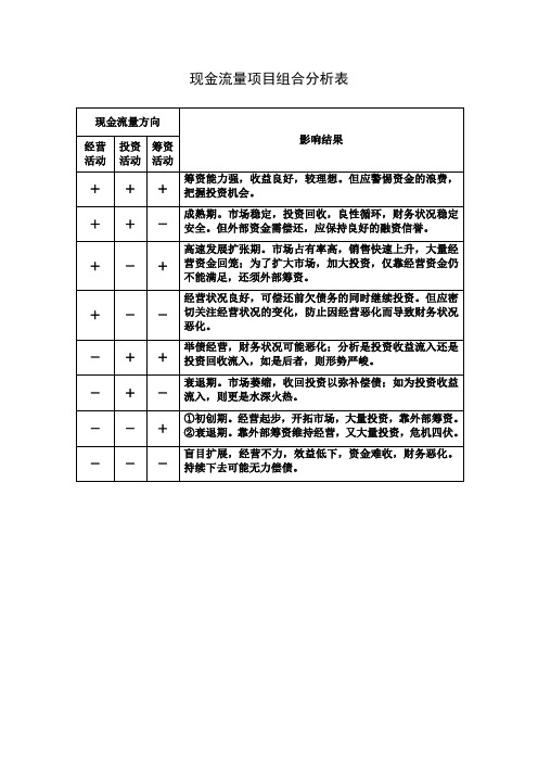 现金流量项目组合分析表