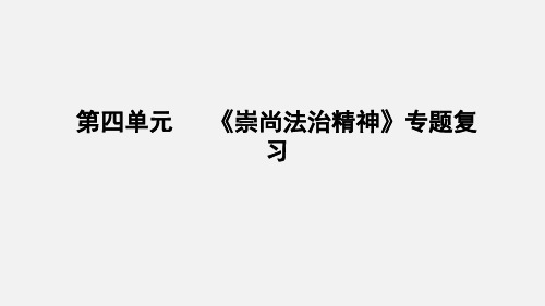 统编人教部编版八年级下册道德与法治《崇尚法治精神》专题复习