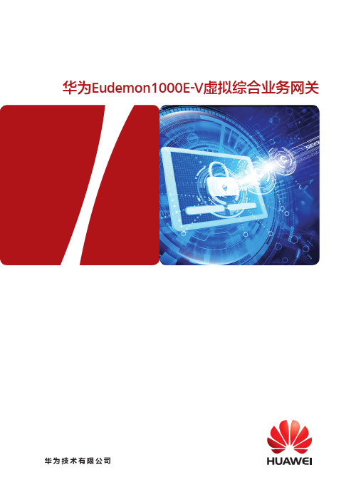 华为Eudemon1000E-V虚拟综合业务网关说明书