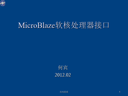 MicroBlaze软核处理器接口(行业研究)