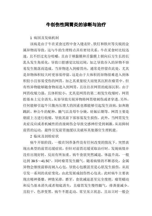 牛创伤性网胃炎的诊断与治疗