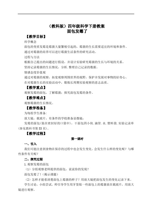 教科版四年级下册科学教案：《3.5.面包发霉了》(5)