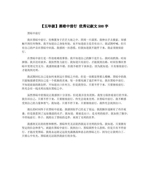 【五年级】黑暗中前行 优秀记叙文500字